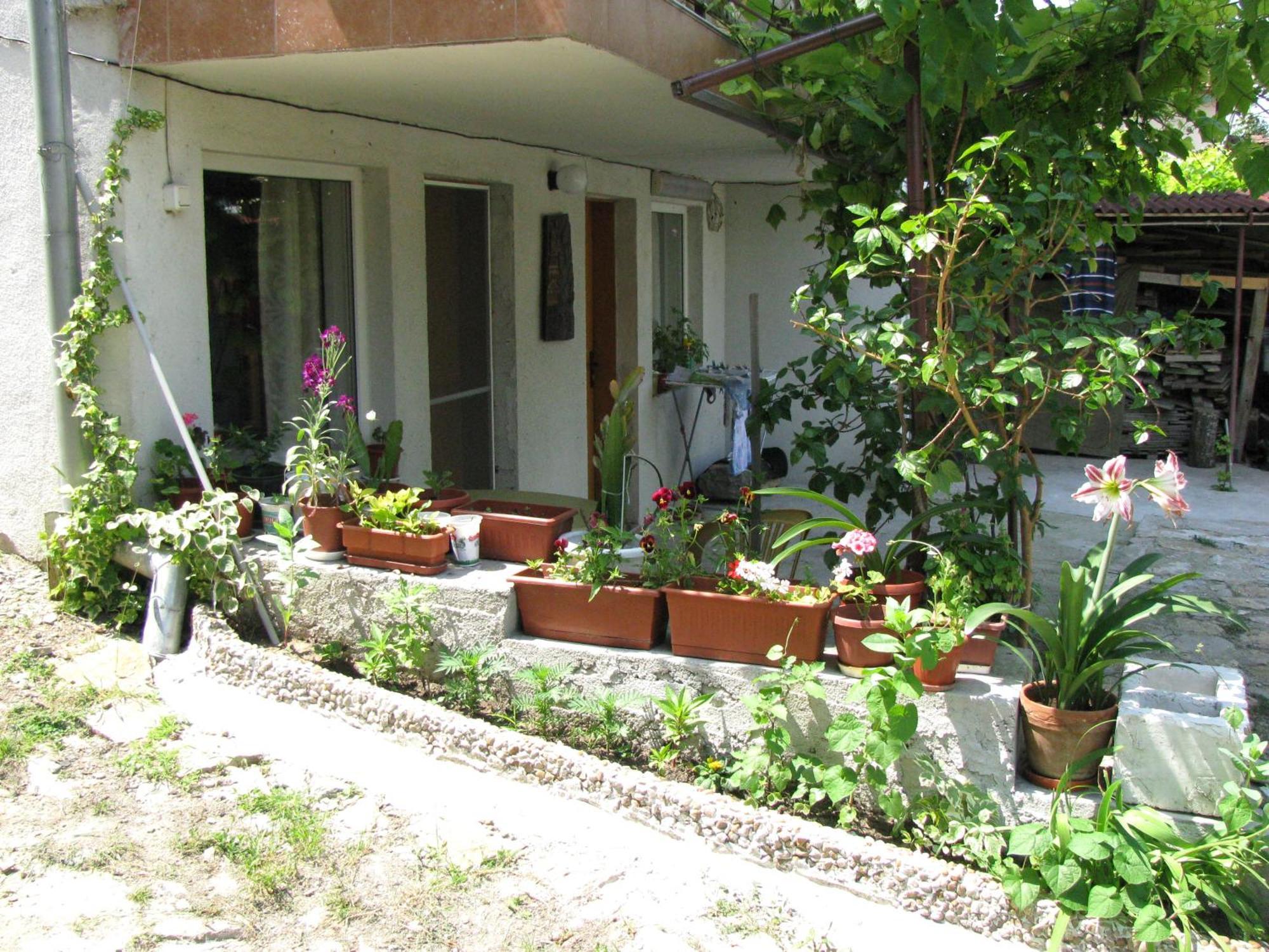 Guest House Familia Szamovodene Kültér fotó