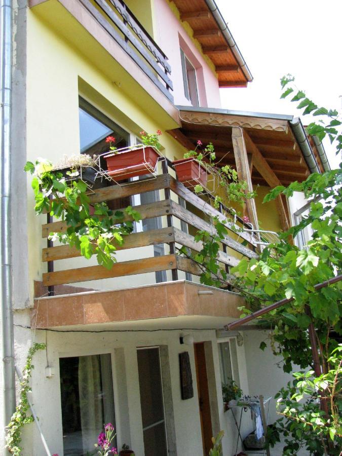 Guest House Familia Szamovodene Kültér fotó
